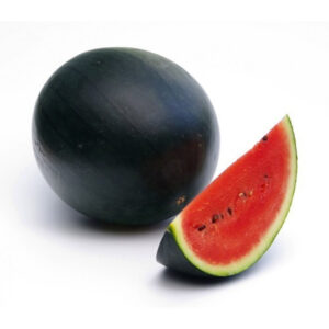 Watermelon - Tarbooz