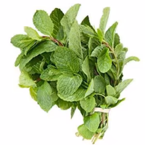 Mint - Podina
