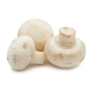 Mushroom - Mashroom